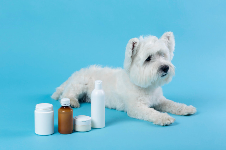 Pet Supplements Market