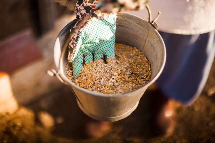 Feed Premix Market
