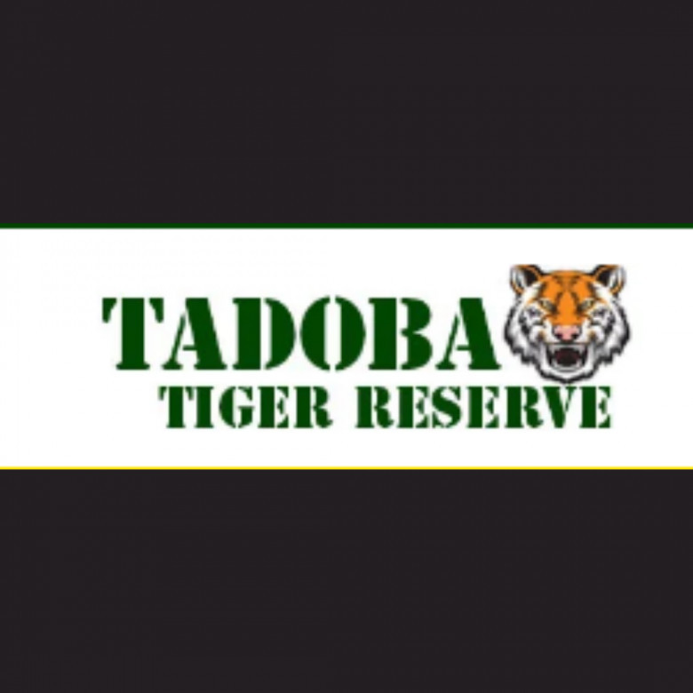 tadoba national park safari booking