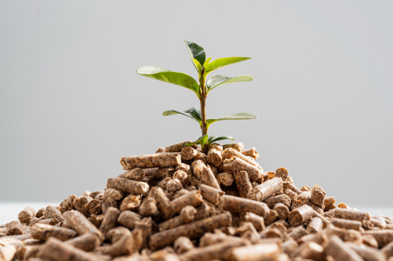 Nitrogenous Fertilizer Market