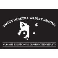 simcoemuskokawildliferemoval