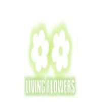 livingflowermelbourne@gmail.com