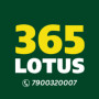 lotus365matches