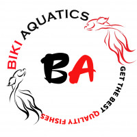 bikiaquatics