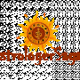 astrologersagar