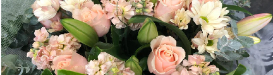 livingflowermelbourne@gmail.com