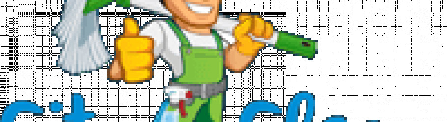 cityclean25
