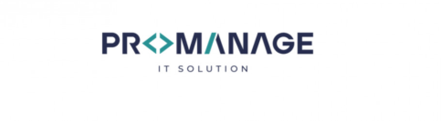 promanageitsolution