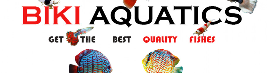 bikiaquatics