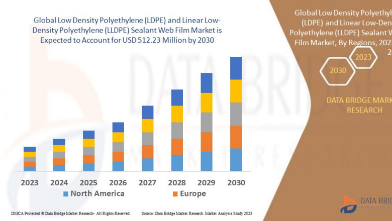 Low Density Polyethylene (LDPE) and Linear Low-Density Polyethylene (LLDPE) Sealant Web Film Market Growth By Product Application Manufacturer Sales and Segmentation - Forecast