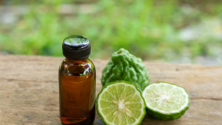 Bergamot Oil Market Potential in the Growing Natural and Organic Product Landscape