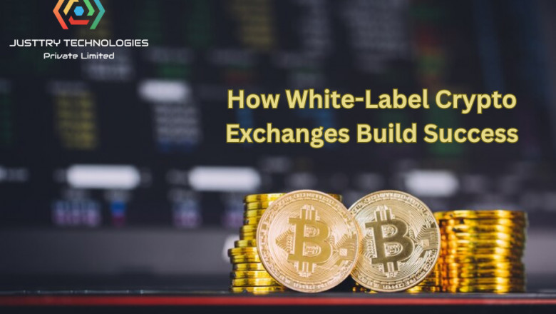 Profiting in the Crypto Market: How White-Label Crypto Exchanges Build Success