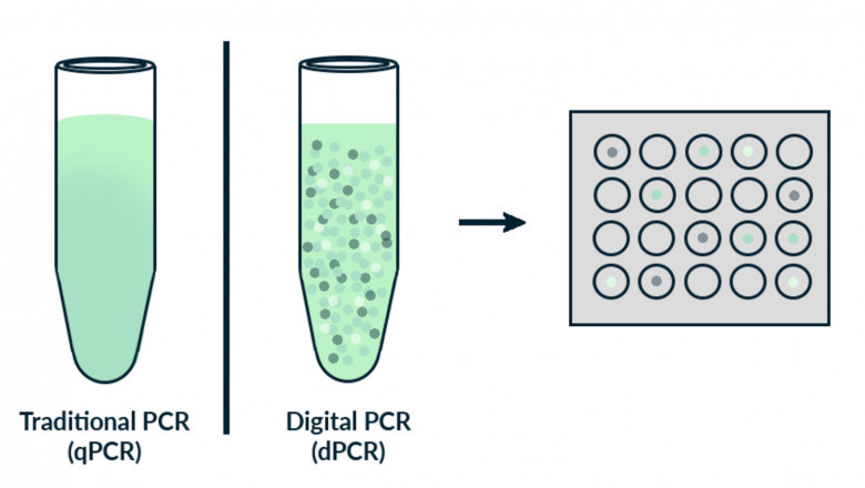 Digital PCR Market: Advancements, Growth Trends, and Future Outlook