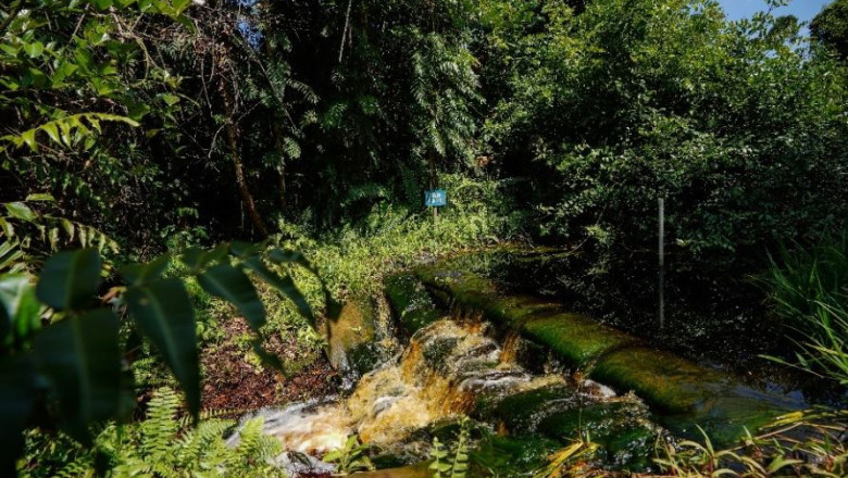 Water Ecological Restoration: Returning Our Rivers, Lakes, and Streams to Their Natural State