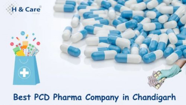 Best PCD Pharma Franchise in Panchkula