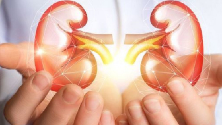 Find the Best Dietician in Delhi NCR for Your Health Goals