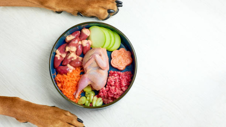 Kemin Industries, Inc. and Its Strategy in the Asia-Pacific Pet Food Ingredients Market