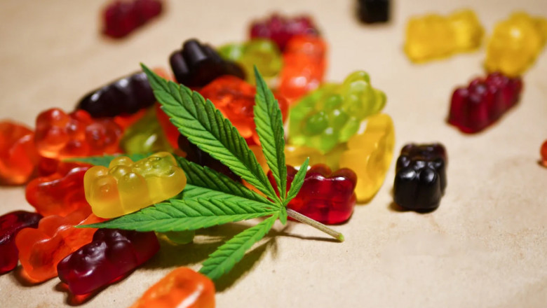 CBD Gummies Market Strategic Moves: How Leading Brands Are Innovating for Maximum Market Penetration