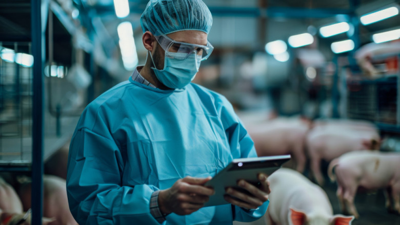 The Role of Healthcare Consulting in Transforming the Industry