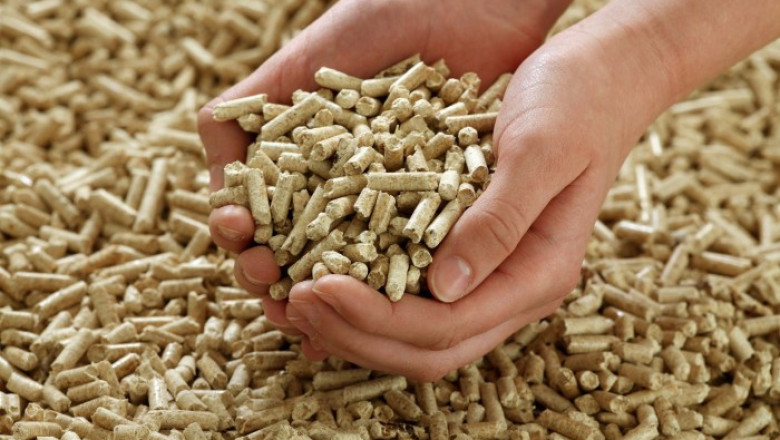 Wood Pellets Market Growth Driven by Renewable Energy Demand and Sustainability Trends in Biomass Fuel