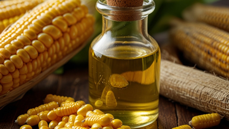 Latest Corn Oil Price Chart, Forecast & Historical Data