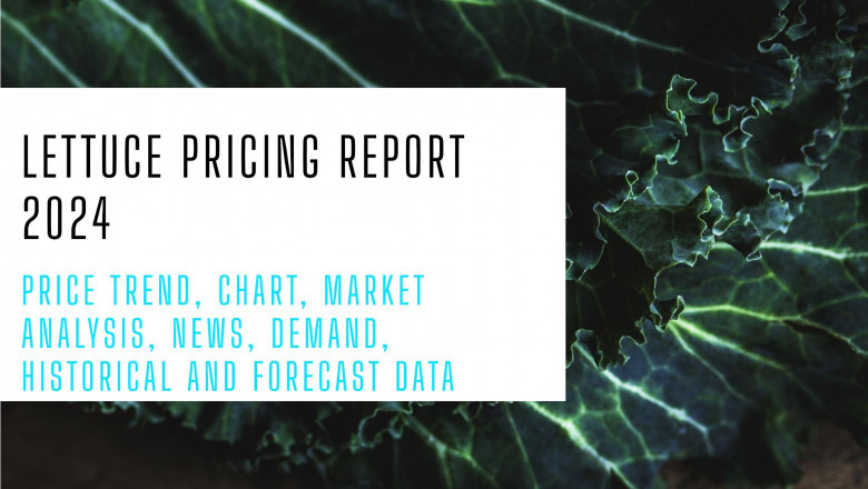 Analyze Lettuce Pricing Report, Demand & Forecast Data