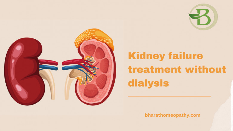 Revolutionizing Kidney Failure Treatment: Advanced Homeopathy for a Natural, Side-Effect-Free Recovery