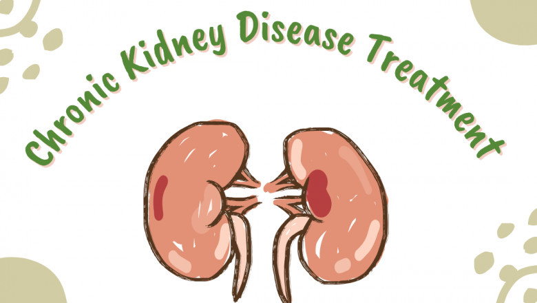 Homeopathy for Kidney Disease: Can It Effectively Support Renal Health?