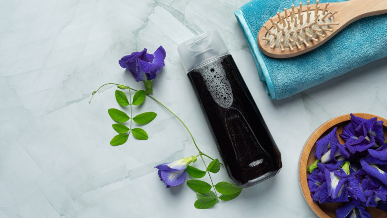 Professional Hair Care Products Market Scope: How Sustainability and Digitalization are Shaping the Future Trends