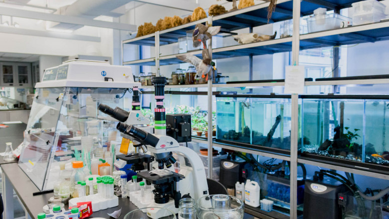 Die besten Nahrungsergänzungsmittel für Sportler – Entdecken Sie Biolab-Produkte