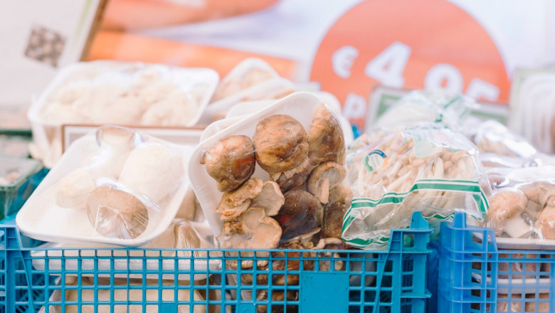 Freezer Bags Market Accelerators Shaping the Future of Food Storage