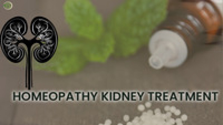 Learning the Types, Signs, and Holistic Treatments of Kidney Disease