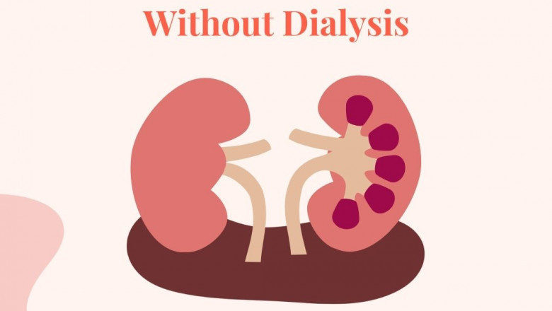 Understanding Kidney Disease: Types, Symptoms, and Holistic Treatment Approaches