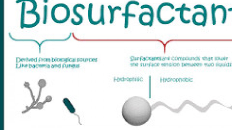 Biosurfactants Market Leaders: Growth, Share, Value, Size, and Scope
