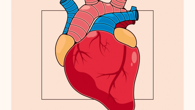 Prosthetic Heart Valves Market Developments in Technology and Materials