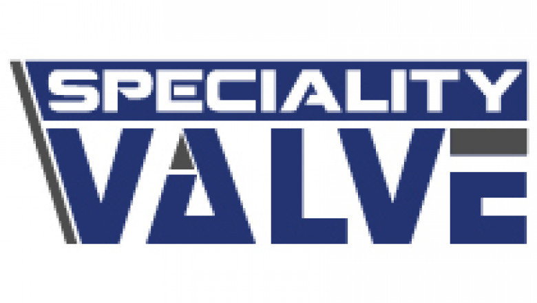 Safety Valve Manufacturers in India