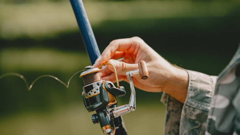 Fishing Rods Market Intelligence: Global Market Dynamics, Brand Strategies, and Pricing Trends Analysis 2025