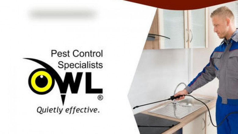 Best Pest Control Dublin: Owl Pest Control Ltd for Fast Results
