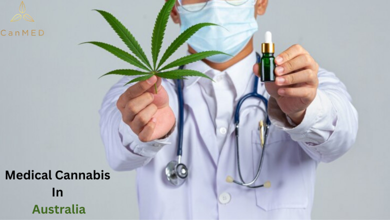 Exploring the Difference Between Medical Cannabis and Medical Marijuana, Plus How to Obtain It