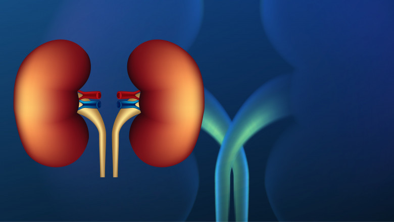 Homeopathy for Chronic Kidney Disease: A Natural Path to Kidney Health