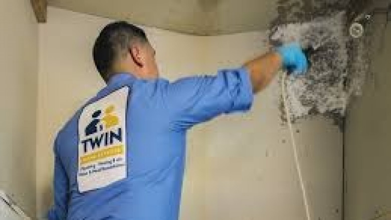 Certified Mold Inspectors in Van Nuys – Ensure a Safe Environment