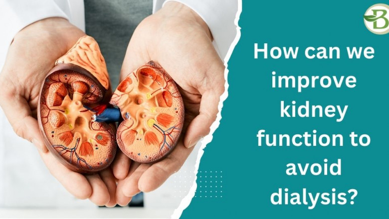 Treating Chronic Kidney Disease Safely and Naturally with Bharat Homeopathy