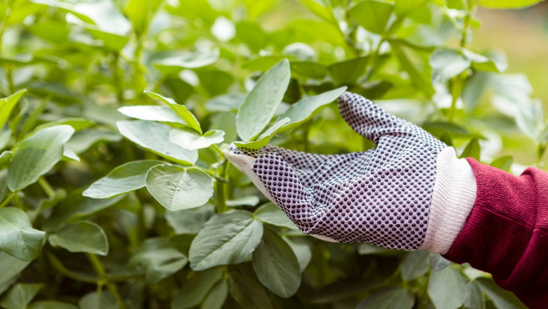 Agricultural Textiles Market Threats in a Changing World