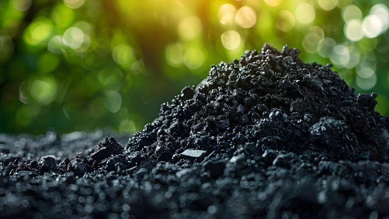 Biochar Market Growth, Trends and Value Chain 2025-2033