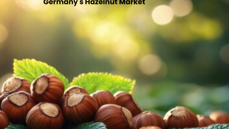 Exploring the Growth and Opportunities in Germany's Hazelnut Market