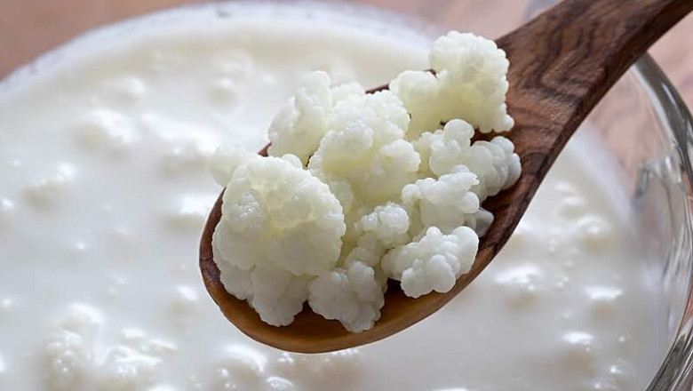 Kefir is projected to witness growth owing to increasing awareness of probiotic ingredients