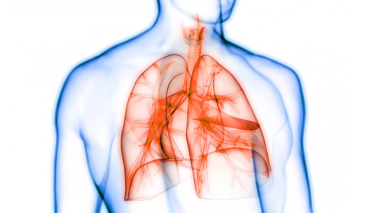 The Pulmonary Arterial Hypertension Drug Market is thriving on targeted therapies by 2032