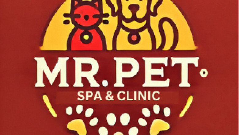 best pet clinics in hyderabad