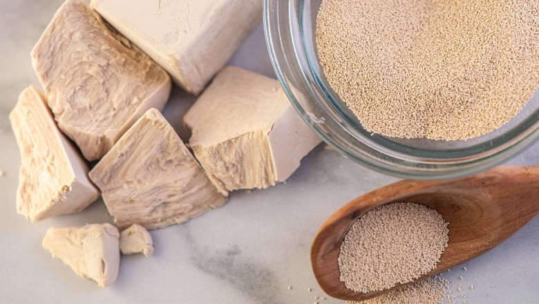 Dry Yeast Market in Baking: Impact on Bread and Pastries