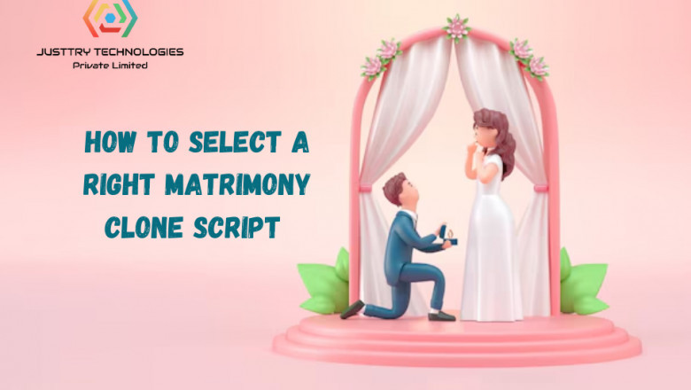 How to Select a Matrimony Clone Script in the Right Manner